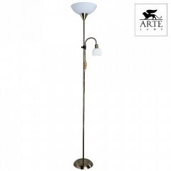 Торшер с подсветкой Arte Lamp Duetto A9569PN-2AB | фото 2