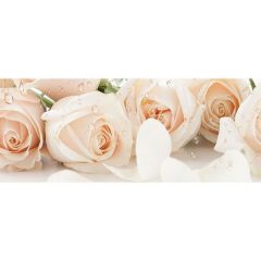 Кухонный фартук КМ 105 Композит глянец (3000) | фото 2